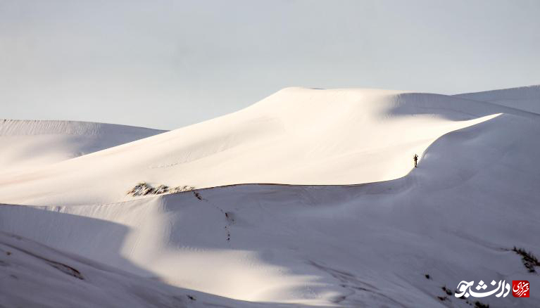 برف یکی از گرم‌ترین نقاط کره زمین را سفیدپوش کرد +عکس
