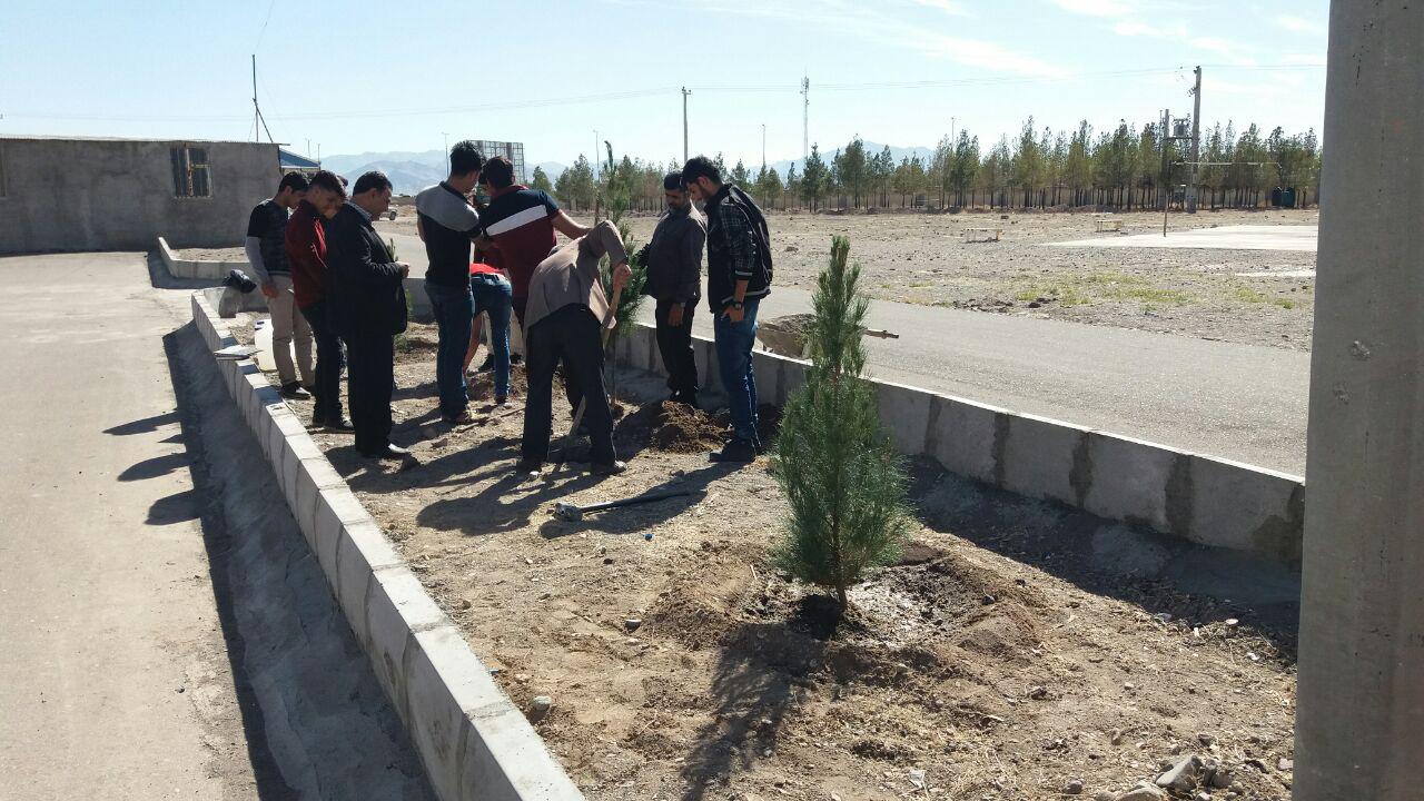 دانشجویان دانشکده فنی وحرفه‌ای شهید کرانی سیرجان اقدام به درخت کاری کردند