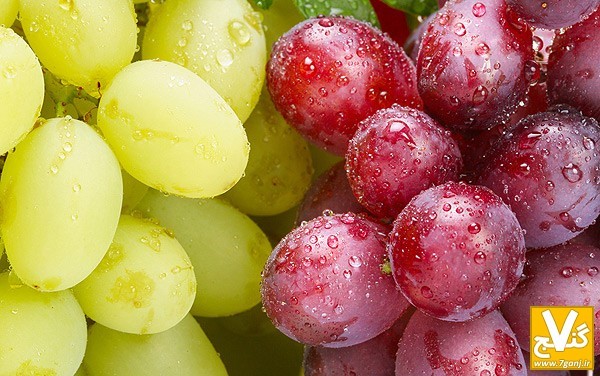 درباره خواص انگور و انار بیشتر بدانید