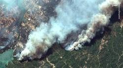 تصاویری از ادامه آتش سوزی ها در جنگل های ترکیه