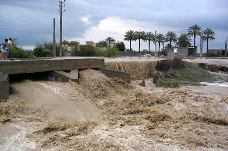 بارندگی باعث خسارت به بخش کشاورزی حاجی‌آباد هرمزگان شد
