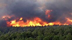 علت دقیق حادثه آتش سوزی جنگل‌های مریوان بررسی شود