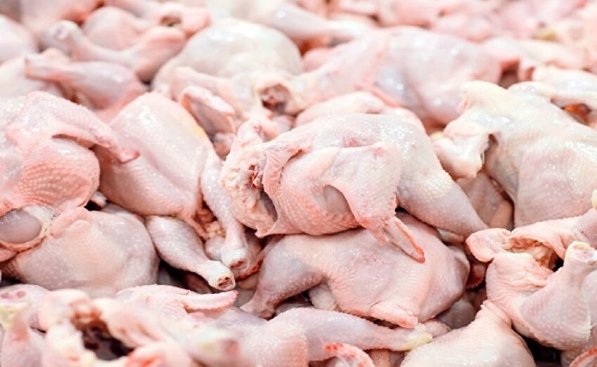 جریمه میلیاردی گرانفروشان مرغ در فضای مجازی