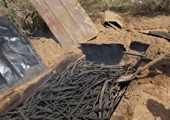 برخورد قانونی در انتظار کوره داران و مراکز دپوی غیرقانونی چوب در رفسنجان