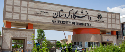 سکوی اول و دوم نخستین لیگ IOT منطقهای غرب کشور به کردستان رسید
