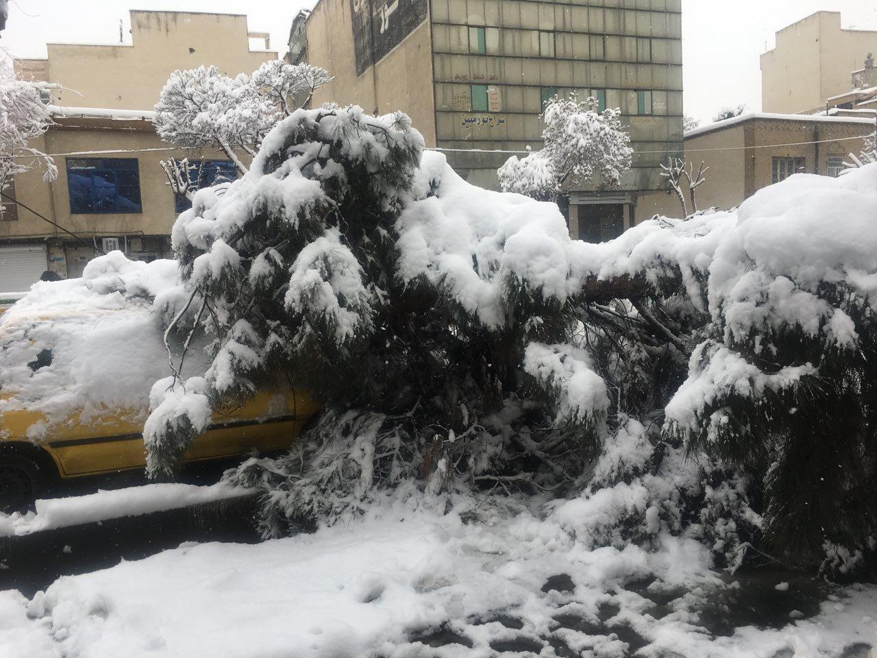 شهرداری از مردم تقاضای کمک کرد/ تهران سردتر می‌شود/ سعد آباد هم تعطیل شد/ آخرین وضعیت راه‌ها