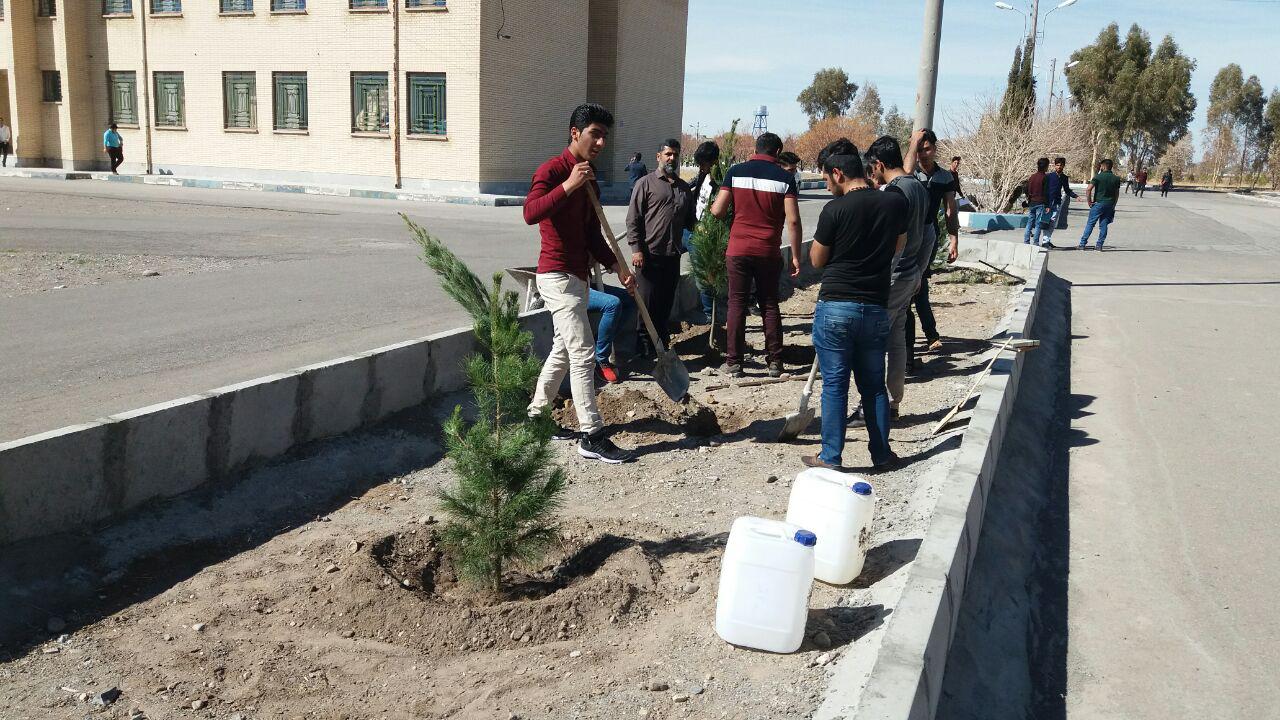 دانشجویان دانشکده فنی وحرفه‌ای شهید کرانی سیرجان اقدام به درخت کاری کردند