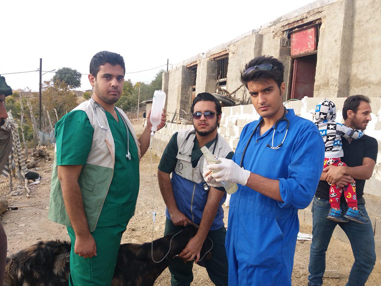 دانشجویان جهادگر دامپزشکی کازرون به خدمت‌رسانی دامداران محروم شتافتند + تصاویر