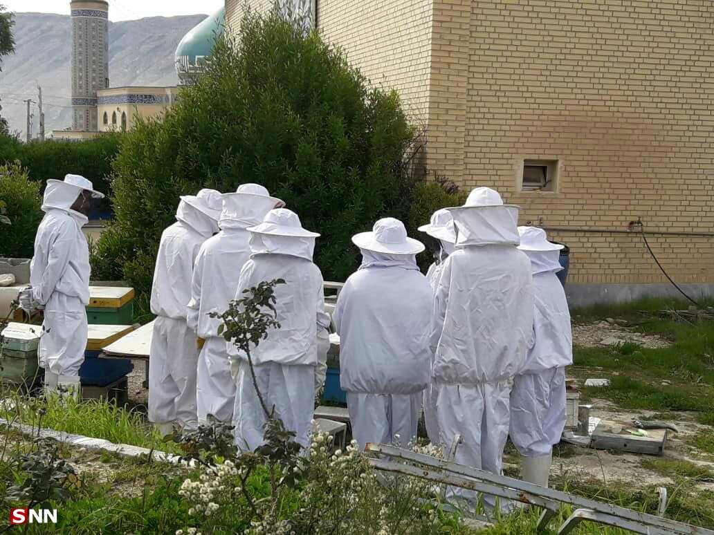 بماند///// زنبور عسل می‌تواند بحران بیکاری دانشجویان دامپزشکی را حل کند/ فقدان مدرسین مسلط به صنعت زنبورداری