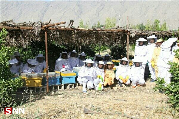 بماند///// زنبور عسل می‌تواند بحران بیکاری دانشجویان دامپزشکی را حل کند/ فقدان مدرسین مسلط به صنعت زنبورداری