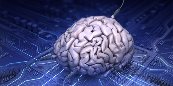 منتشر نشود / فناوری //////////////////////// پژوهشگران دریافتند مغز انسان خاطره‌ها را در جهت معکوس بازسازی می‌کند