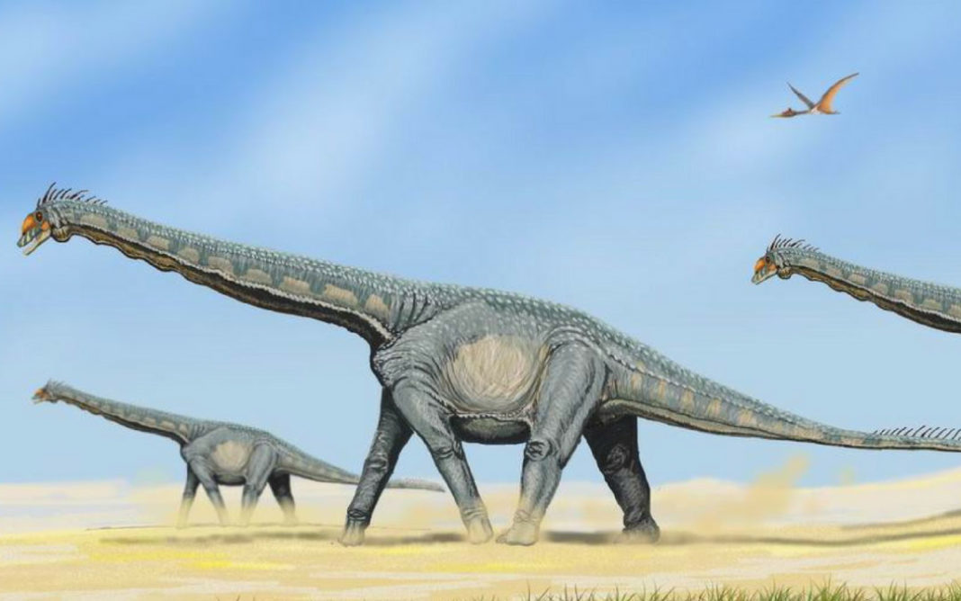 امکان درمان سرطان با فلزی نادر متعلق به عصر دایناسور‌ها!
