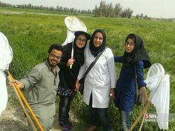 آرزوی دانشجوی سیستان و بلوچستانی که رتبه ۳۵ کنکور شد/ مسئولان فکری به حال اشتغال بلندهمتان کوتاه قامت کنند