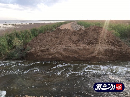 //انجام بازدید میدانی از تالاب هورالعظیم/ مشکل سیلاب خوزستان با آبگیری هورالعظیم حل نمی‌شود