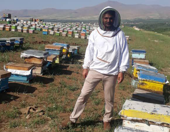 فعالیت‌های علمی- پژوهشی زنبور داری در دانشگاه ارومیه انجام می‌شود