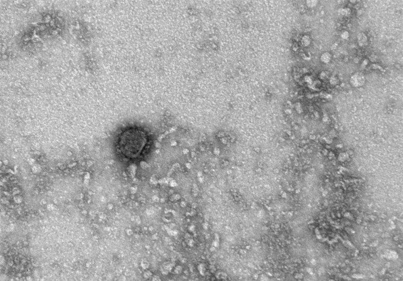 عکس| شکل ویروس کرونا توسط دانشمندان روس کشف شد