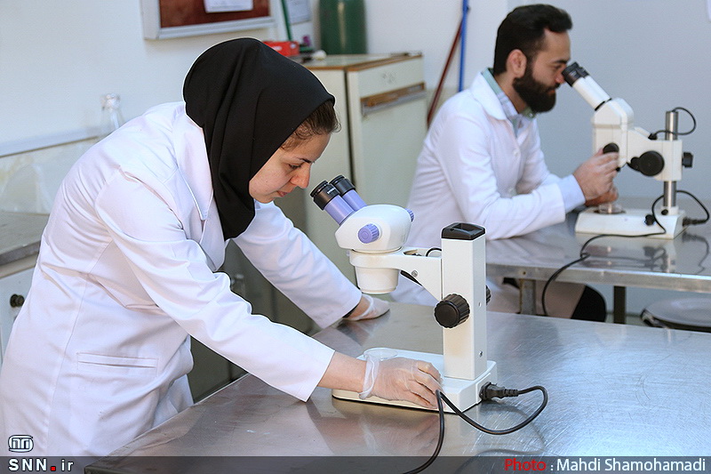 رتبه‌بندی‌های معتبر از درخشش ایران در تولیدات علمی می‌گویند / پله پله رشد کشور در دیپلماسی علمی
