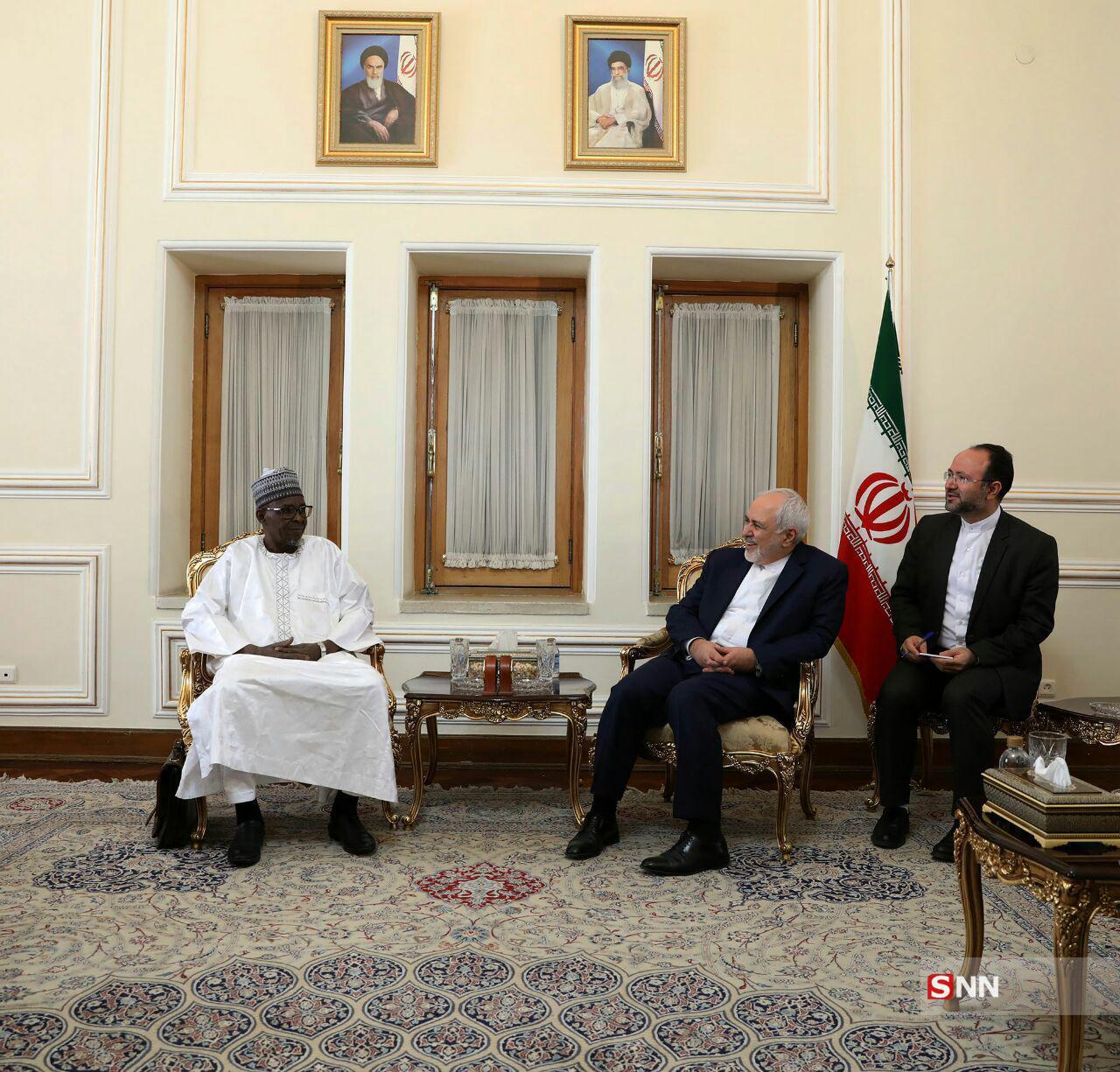 دیدار نایب رئیس مجلس نیجر با ظریف/ گزارش سوولی آیدی به وزیر خارجه ایران درباره سیل اخیر