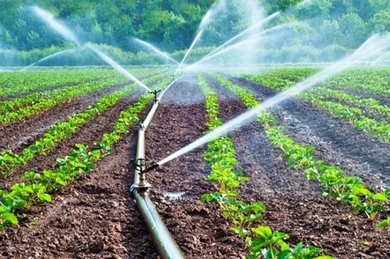 صنعت کشاورزی با افزایش بهره‌وری از منابع آبی توسعه می‌یابد
