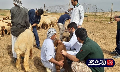 جلیلی//شیوع بیماری تیلریوز گاوی و تب برفکی در بین دام‌های خوزستان/ اداره دامپزشکی استان به موقع وارد عمل نشد