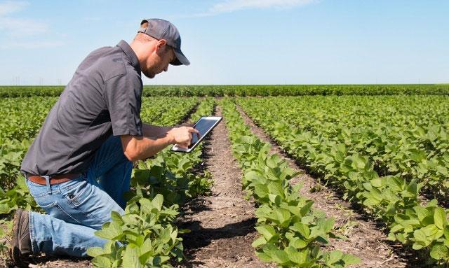 کشاورزی هم آنلاین شد/ محدودیت کشاورزان در دسترسی به اینترنت