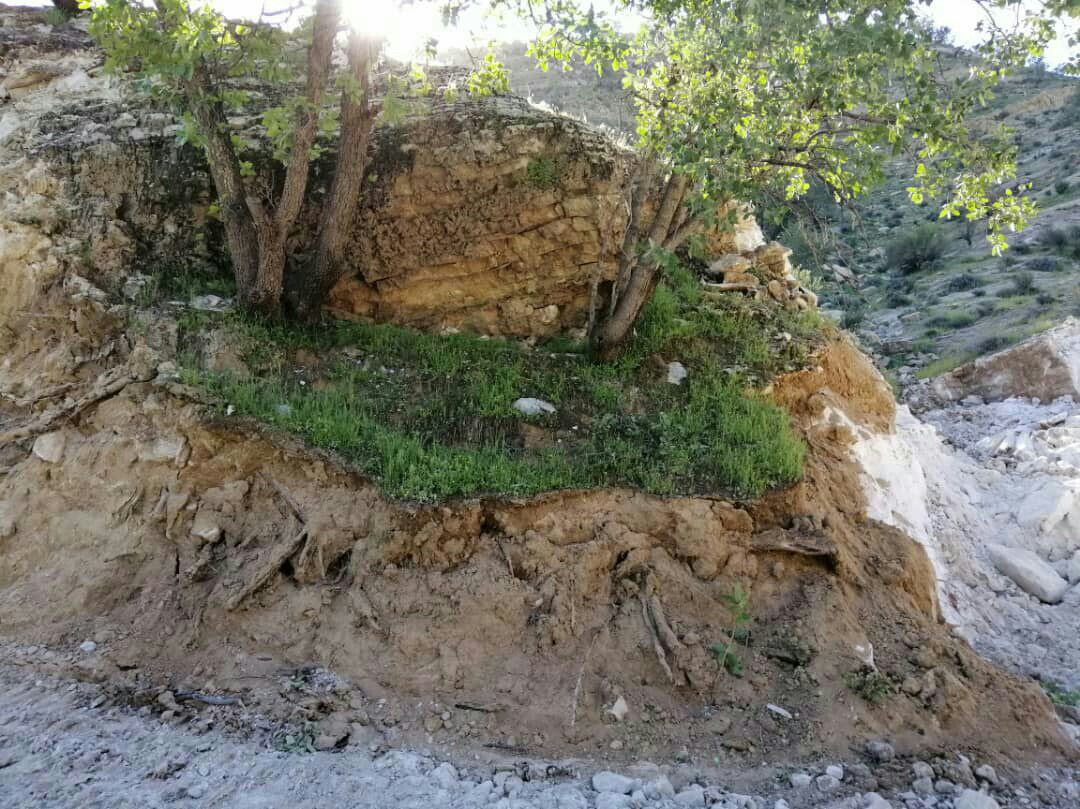 توضیحات محیط زیست فارس در مورد ” معدن گچ گاوکشک در منطقه حفاظت شده ارژن-پریشان ” وجاهت قانونی ندارد