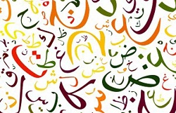 مدیر مسئول نشر هزاره ققنوس: باید از تحول و تغییر کلمات زبان فارسی جلوگیری شود