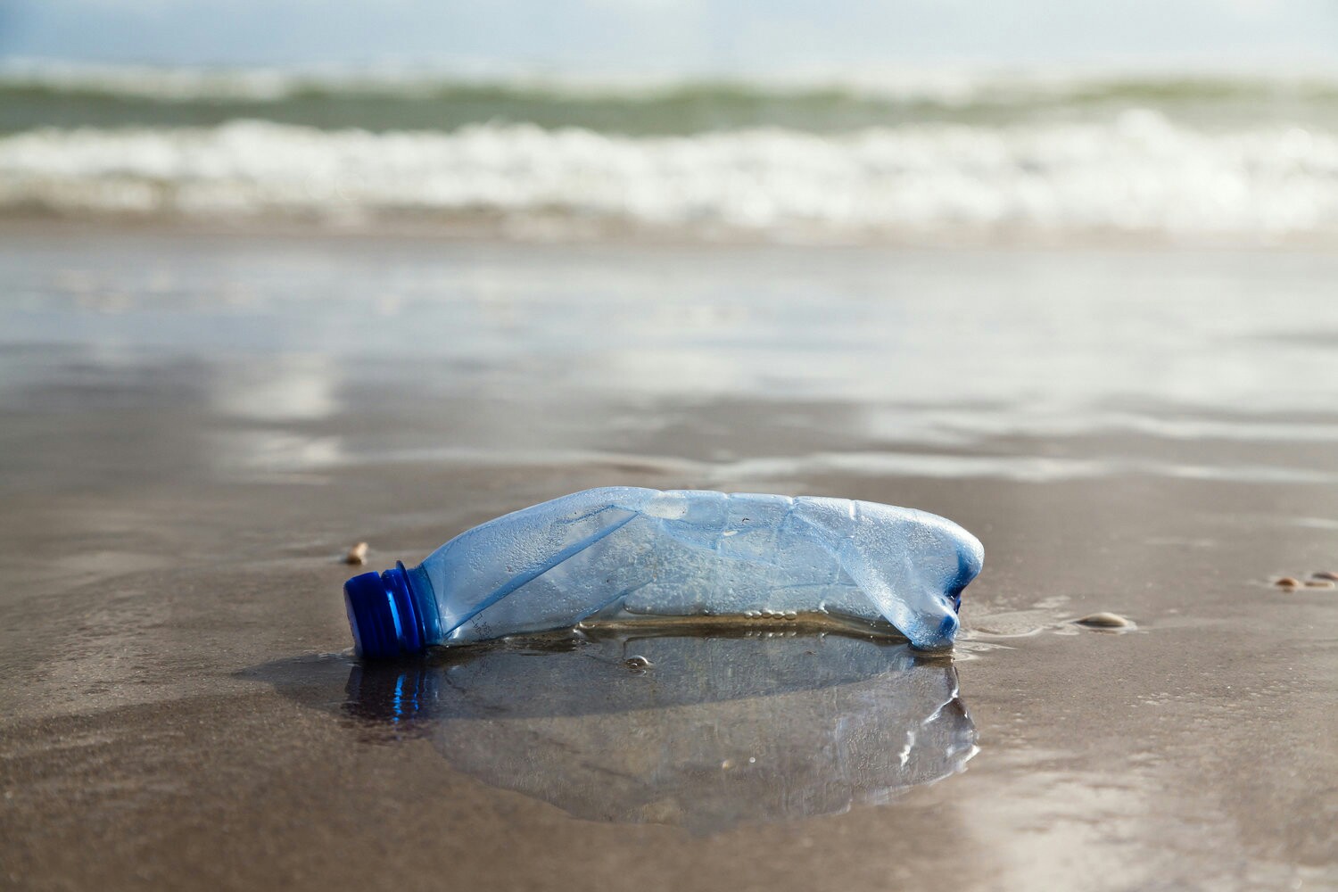 سیم‌پیچ‌ها دریا‌ها را از پلاستیک پاک می‌کنند