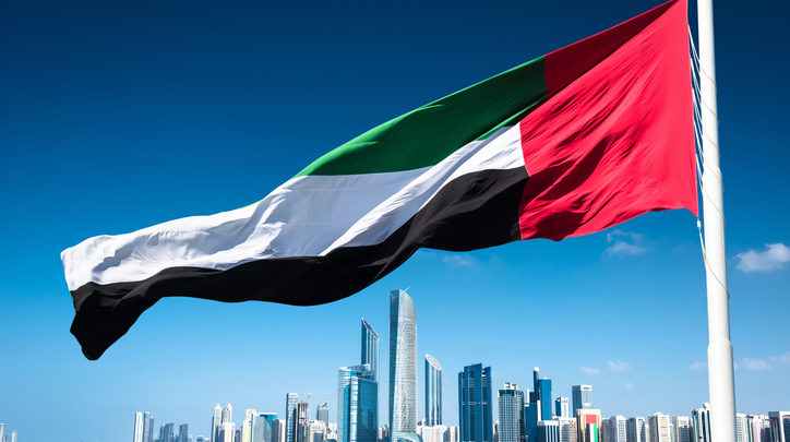 دولت مستعفی یمن خواستار پایان مشارکت امارات در ائتلاف سعودی شد