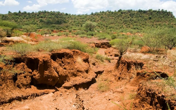 مقابله با فرسایش خاک در کشور سرعت می‌گیرد