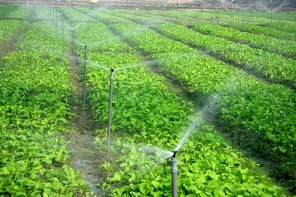 بهره‌وری آب در بخش کشاورزی افزایش می‌یابد