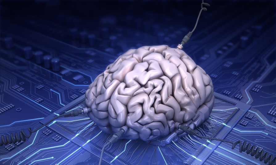 مغز زیر ذره‌بین نانوبات‌ها / مغز‌های مصنوعی در راهند