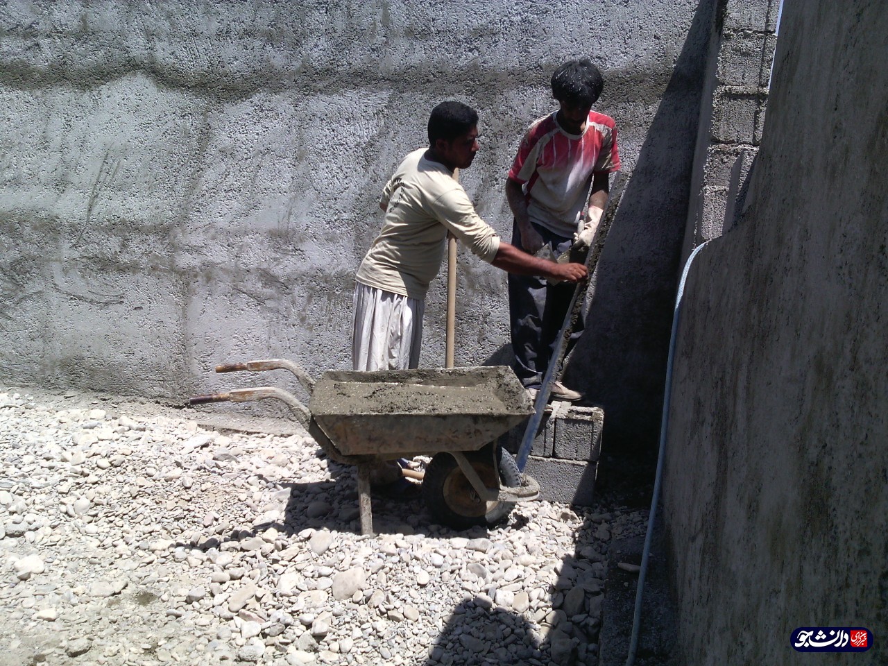 راه اندازی کارگاه بسته بندی علوفه و ایجاد اشتغال پایدار در روستای جنت آباد سیستان