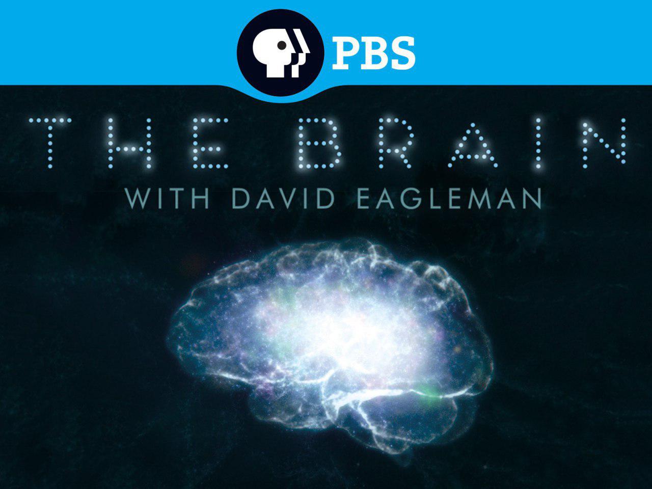 مجموعه جذاب «داستان مغز با دیوید ایگلمن» برای اولین بار در قاب شبکه چهار