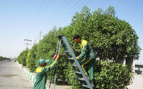 چشم‌انتظاری کارگران فضای سبز یاسوج برای دریافت مطالباتشان/ کارگری که برای تامین معیشت وسایل خانه‌اش را فروخت!