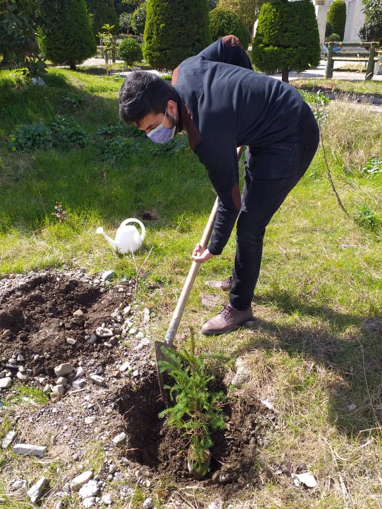 دانشجویان رامسری به کاشت چندین درخت در جوار یادمان شهدای گمنام پرداختند