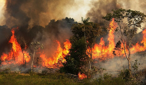 جنگل‌های زاگرس طعمه حریق آتش بی توجهی مسئولین شد / مهار آتش سوزی دمچنار با دستان خالی زنان وکودکان