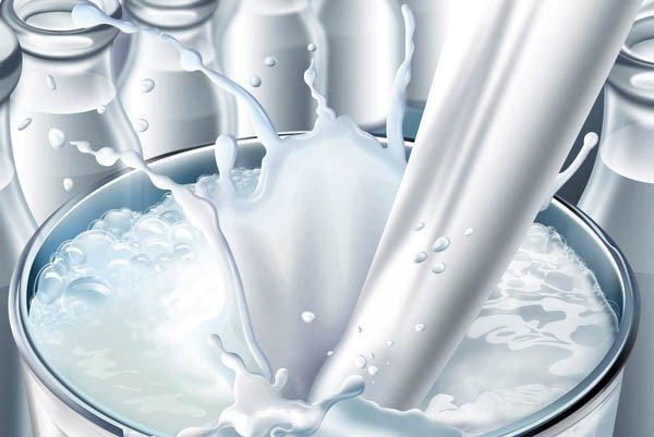 قیمت شیر خام هر کیلو ۲۹۰۰ تومان تعیین شد