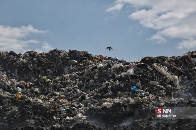دانشجویان مازندرانی پیگیر مطالبات مردم خصوص انباشت زباله در ساری شدند