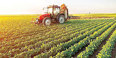 تهدید رشد مثبت بخش کشاورزی با بی‌تدبیری ارزی