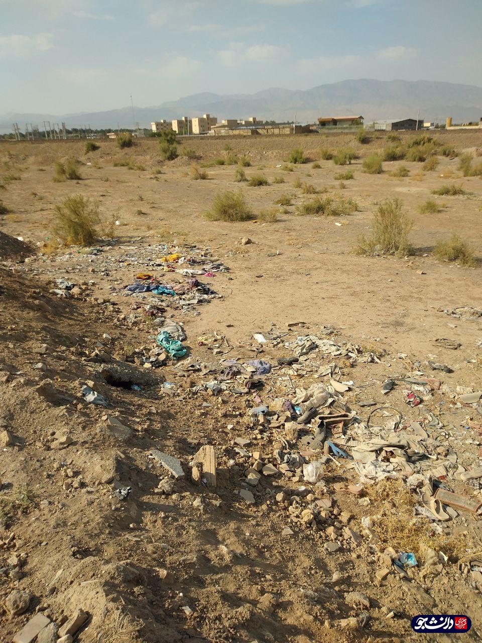 فردا//// تعیین تکلیف روستای یحیی آباد در انتظار توجه مسئولان است / جولان سالک در زباله‌های منطقه‌ای که مسئولی ندارد!