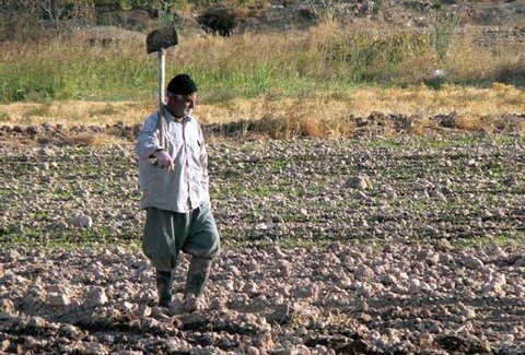 آماده//// ۲۰ تا ۳۰ درصد اراضی کشاورزی شرق اصفهان از آب زاینده رود بهره‌مند شد / مرحله دوم آبیاری در نیمه اسفند یا فروردین