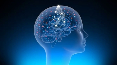 توسعه فناوری کاشتنی‌های مغزی با 10 طرح در حال اجرا