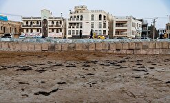 حمله لکه‌های نفتی به ساحل بوشهر / شکایت قضائی از آلوده‌کنندگان