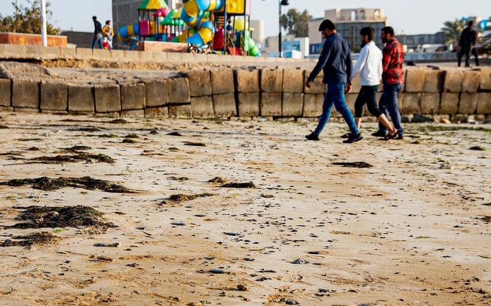 حمله لکه‌های نفتی به ساحل بوشهر / پیگیری قضائی از آلوده‌کنندگان