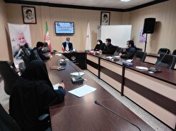 مسئول بسیج دانشجویی خراسان جنوبی با مدیرکل ورزش و جوانان استان دیدار کرد