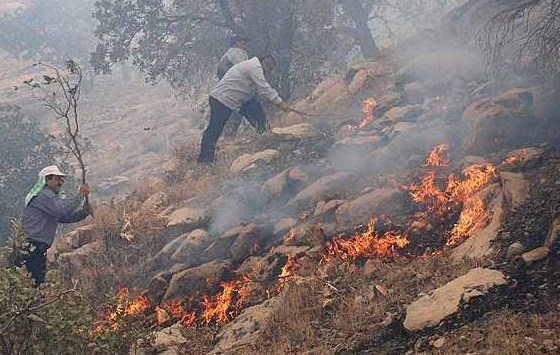 بخش گسترده‌ای از آتش جنگل‌های گچساران کنترل شده است