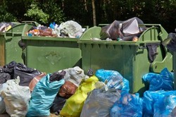 انتشار ویدئویی از تهیه مواد غذایی تعدادی از شهروندان فقیر فرانسوی از یک سطل زباله!