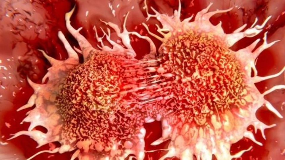 شناسایی ترکیبات ضد پیری ممکن شد / از نابودی تومور‌های سرطانی تا طراحی مواد زیستی برای ترمیم زخم‌ها