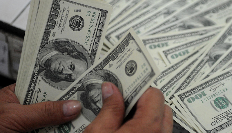 توقف یک‌ما‌هه تأمین ارز واردات نهاده‌های دامی